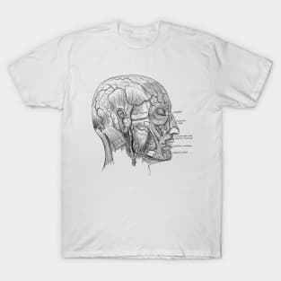 Human Body - Head T-Shirt